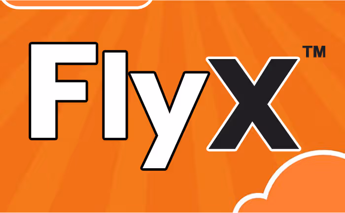 Fly X game cover