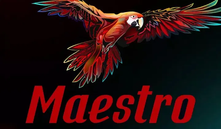 Maestro game cover