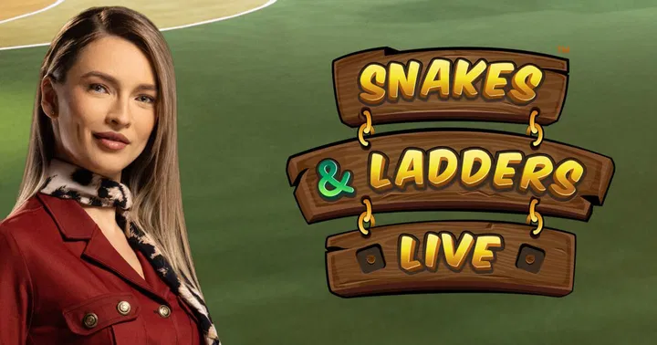 Snakes And Ladders game cover